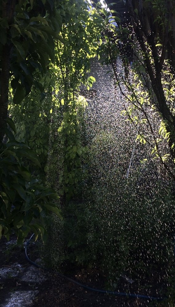 Photograph by Татьяна Белгарокова