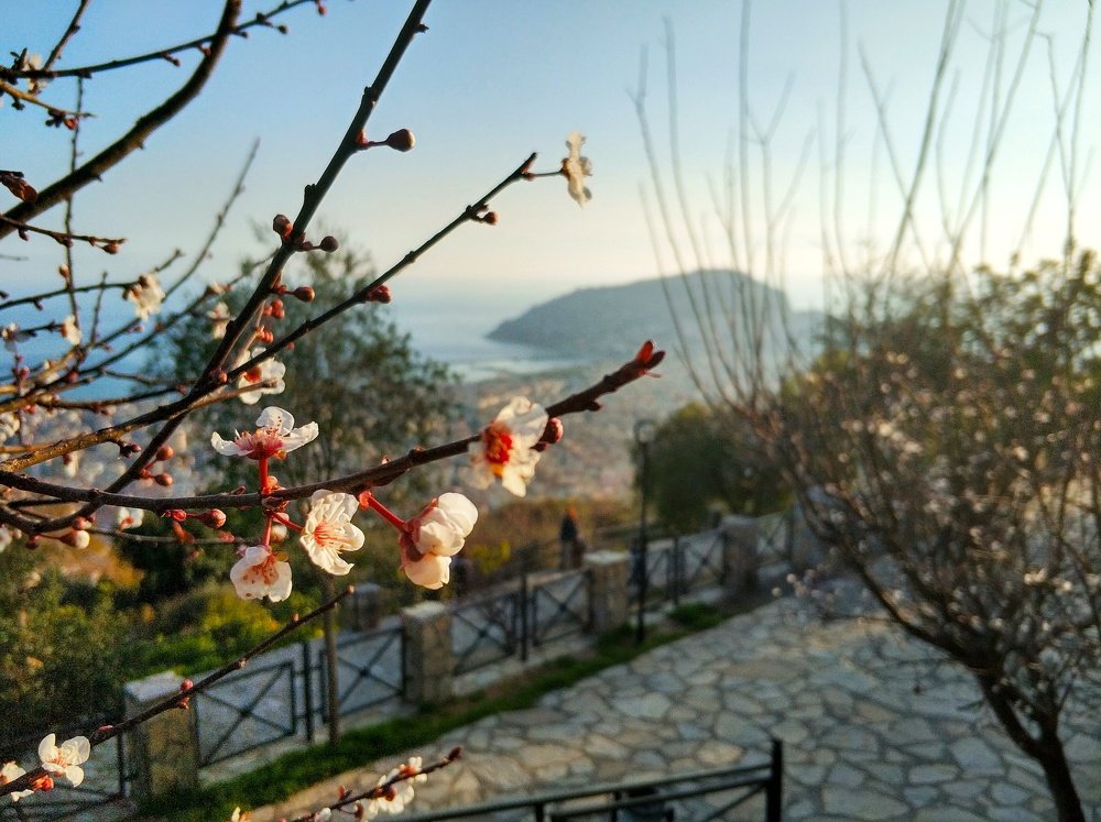 Photograph by Роман Сычев