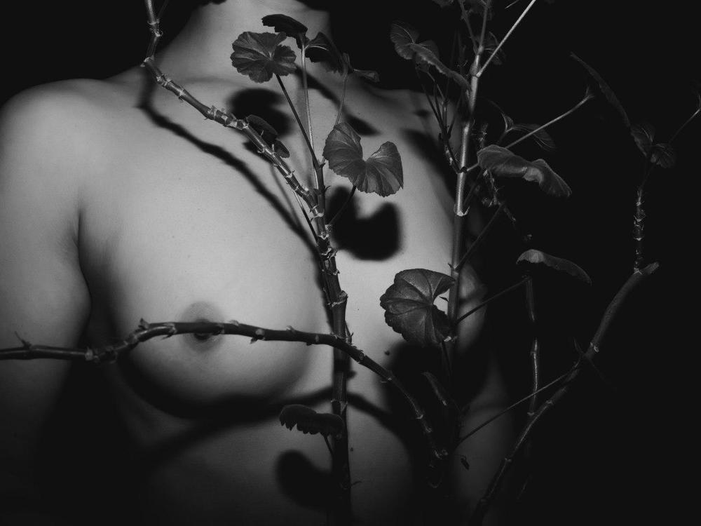 Photograph by Alina Pugacheva