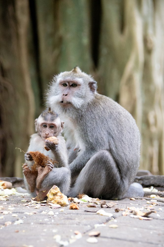 Photograph by Ксения Рыбка