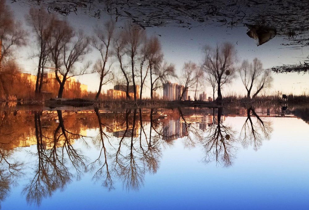 Фотография автора Денис Сухинин