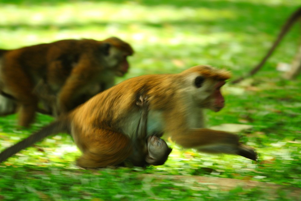 Photograph by Анна Ковалевич