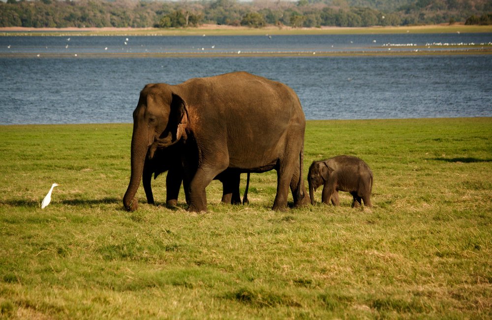 Photograph by Анна Ковалевич