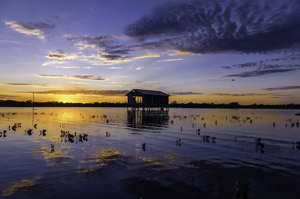 Amanhecer no Pantanal