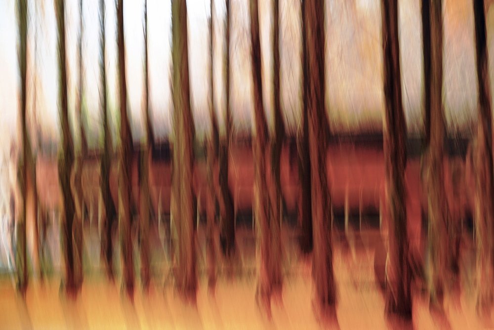 Palace under the Water