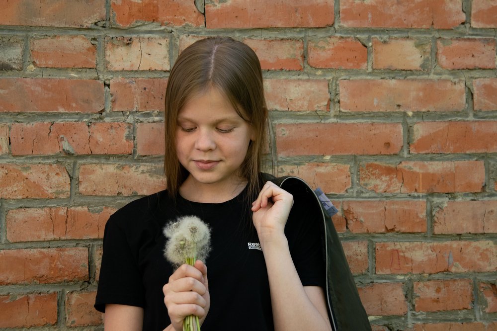 одуванчики...