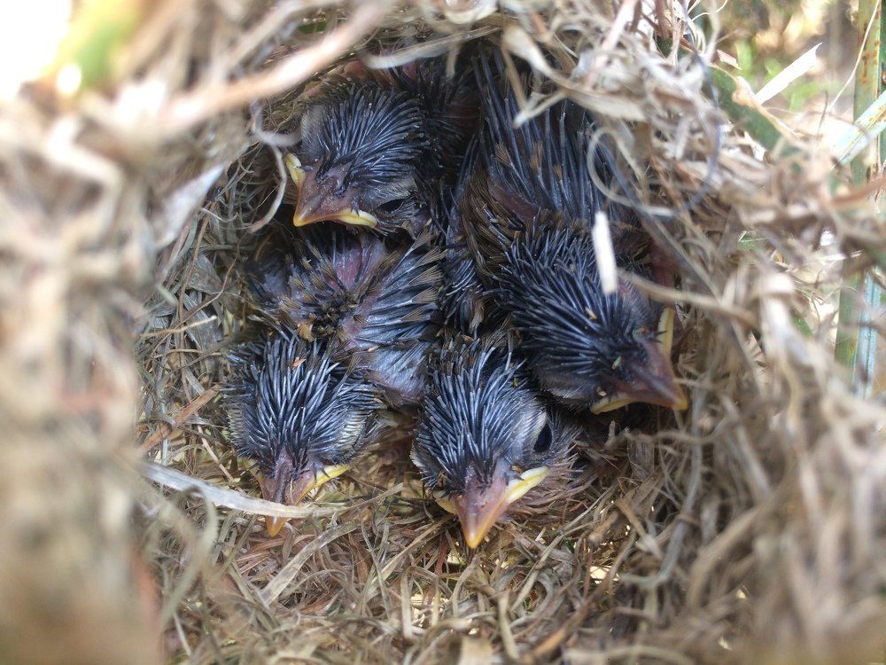 Photograph by Xe Chien Ya