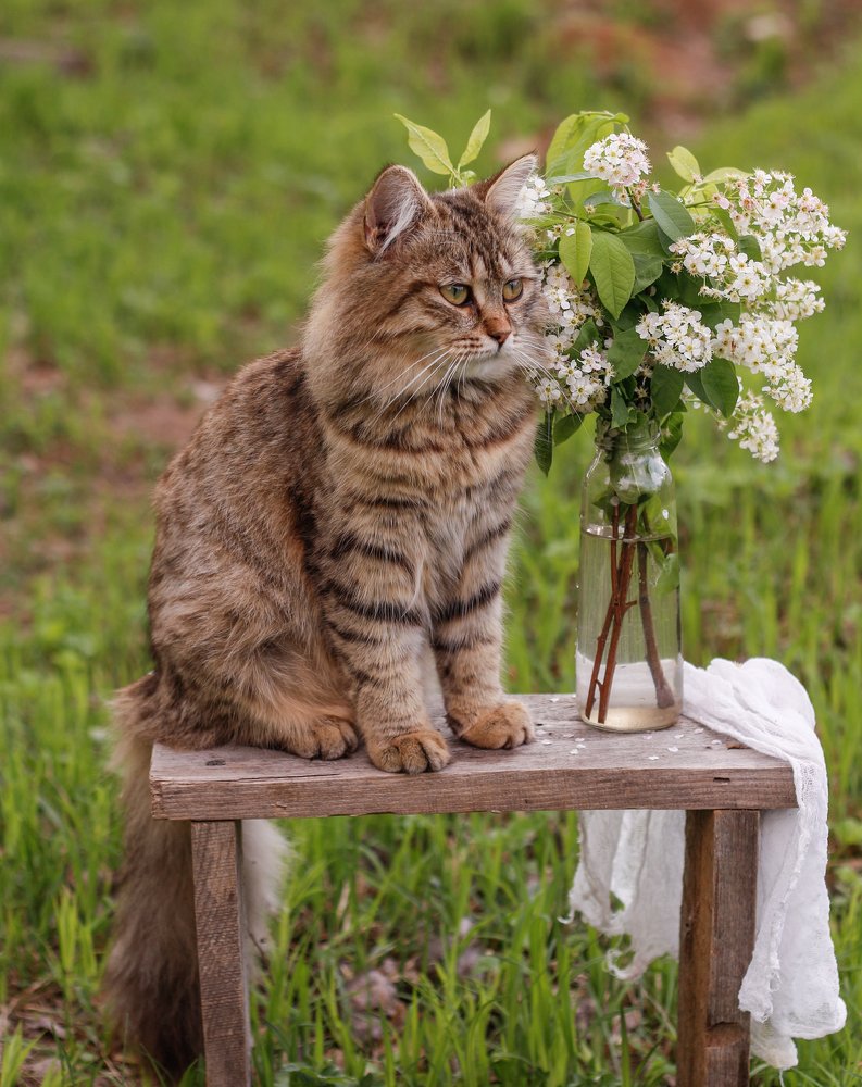 Photograph by Елена Никишина