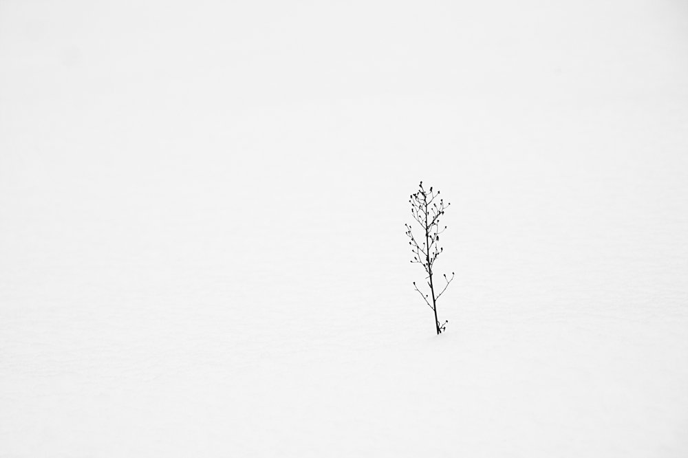 Photograph by Ольга Алексейчик