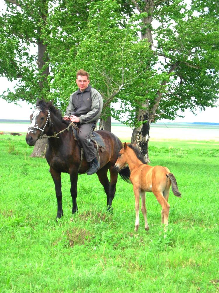 Казахстанские степи