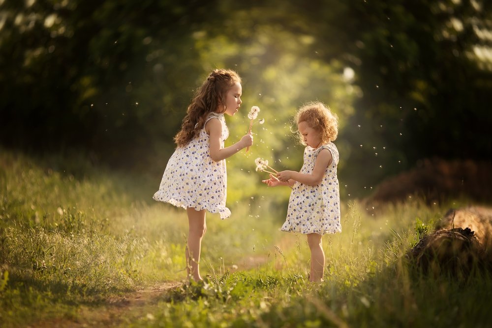 Фотография автора Журавель Саша