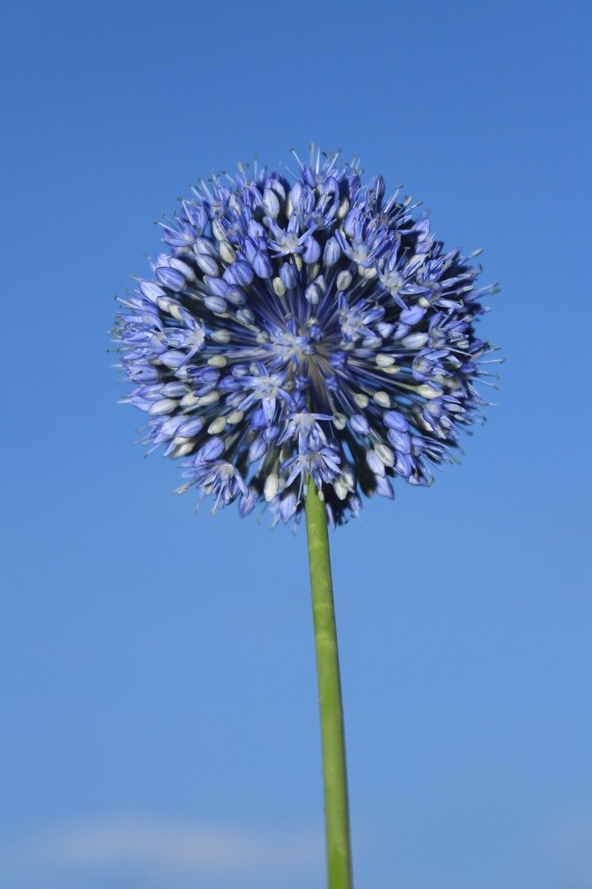 Photograph by Адель Магаева