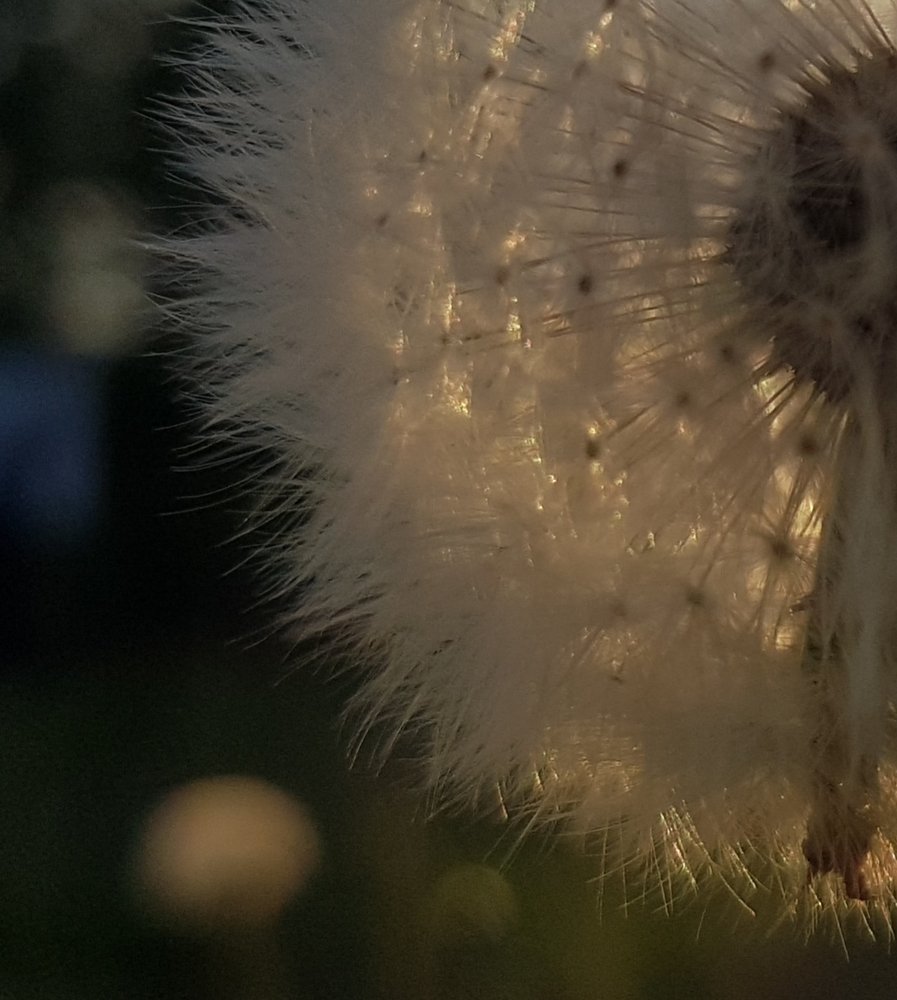 Photograph by Людмила Орловская