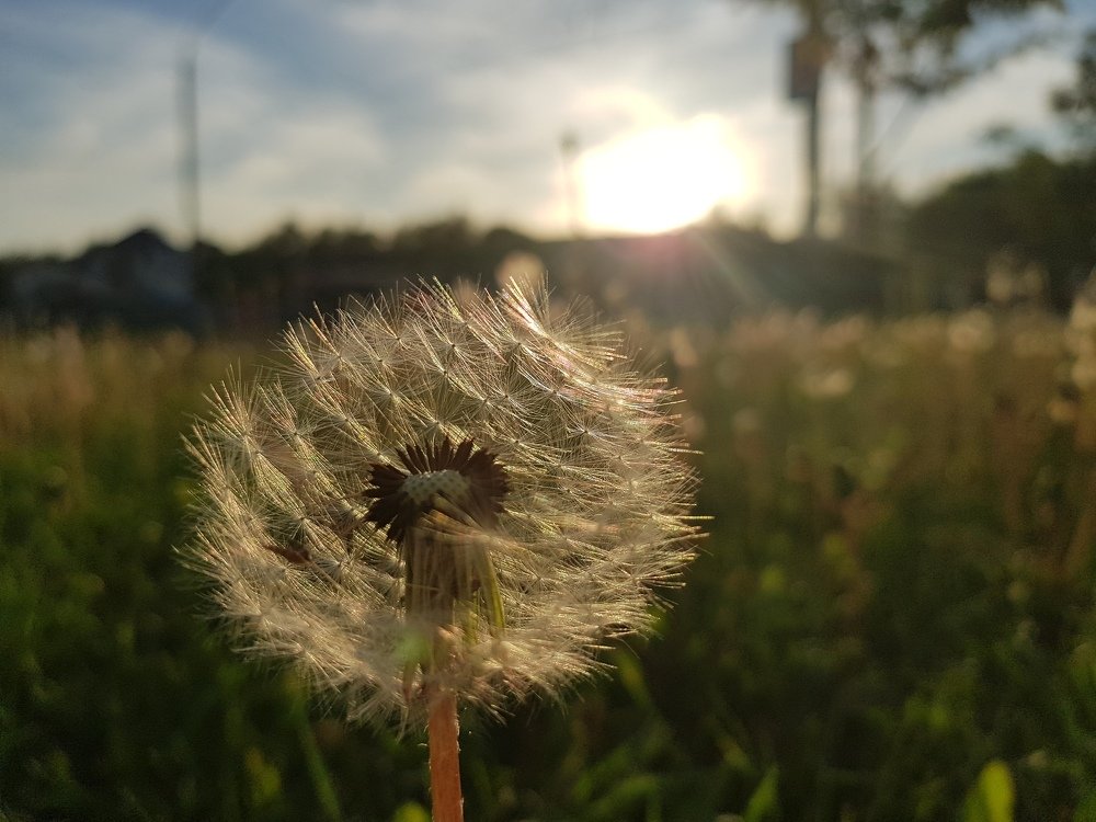 Photograph by Людмила Орловская