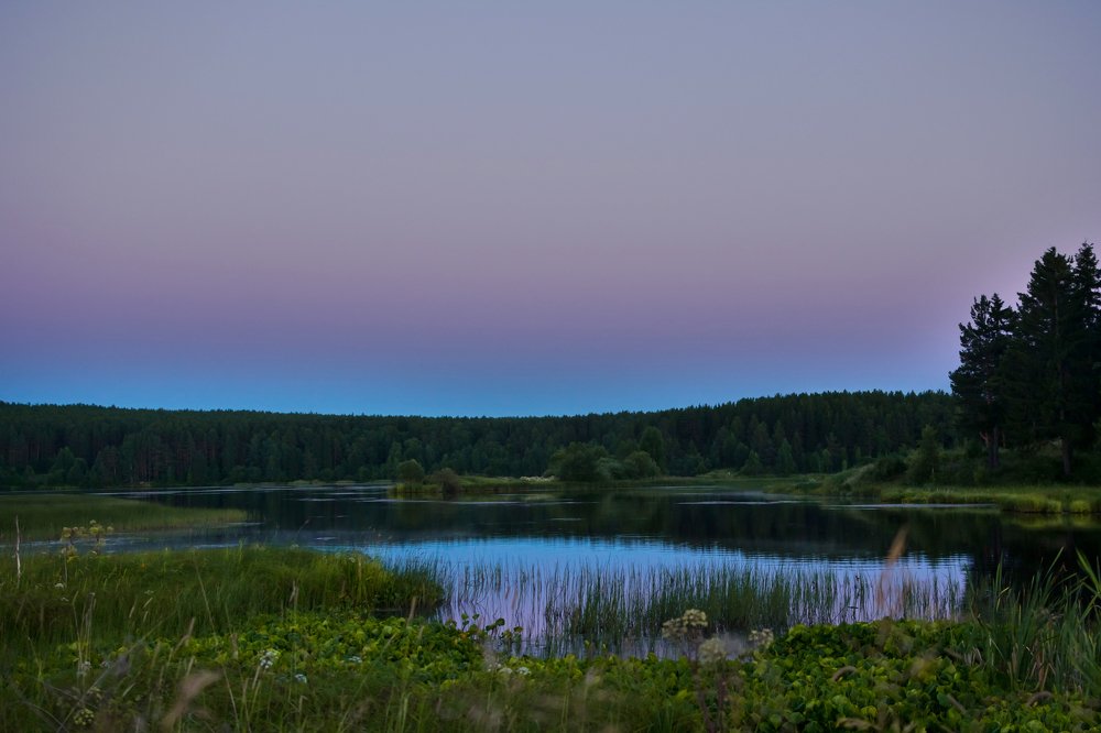 вечерний аромат