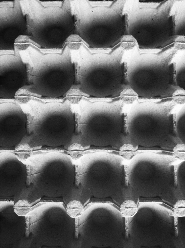 а было ли яйцо?