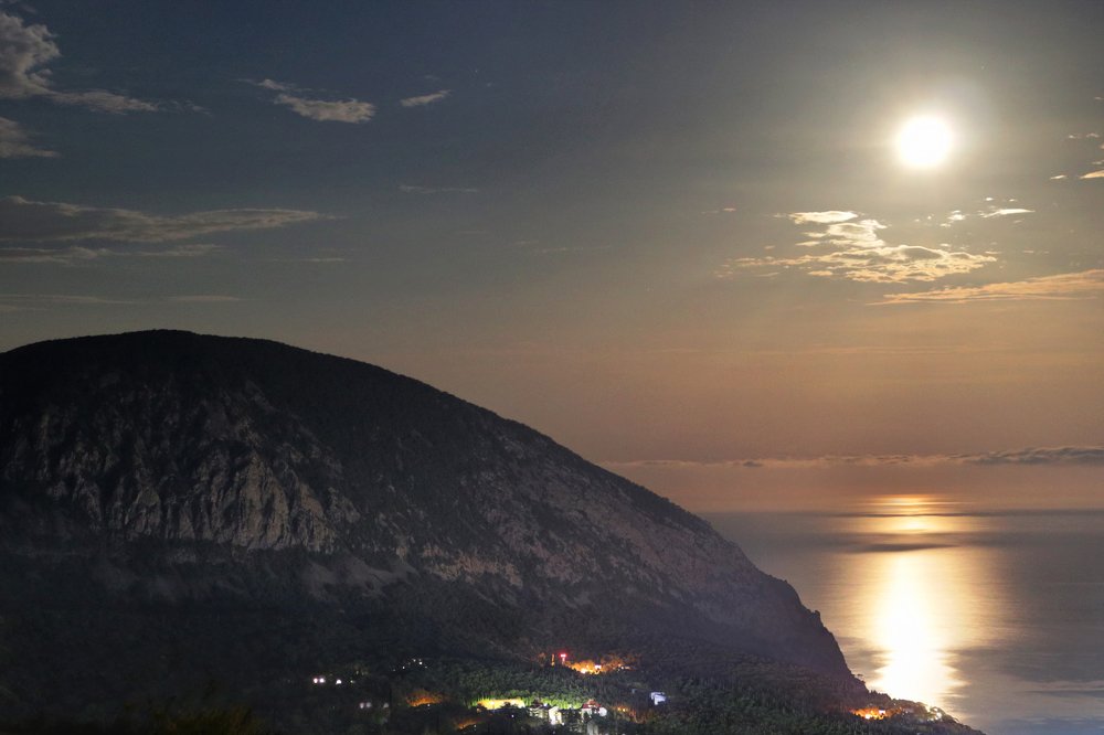 А Медведь всё пьёт и пьёт...