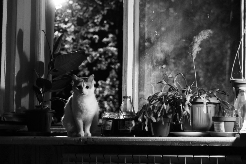 Photograph by Майан Чаван