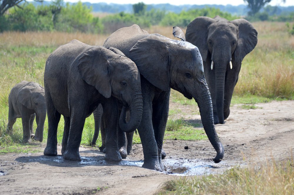 Photograph by Надежда Дорошенко