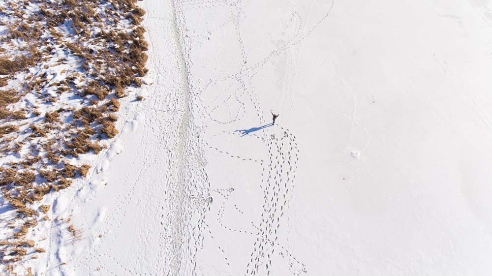 Прогулка замёрзшей речкой