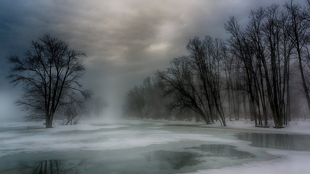 Foggy Winter Landscape at Petrie Island, Ottawa, Ontario, Canada