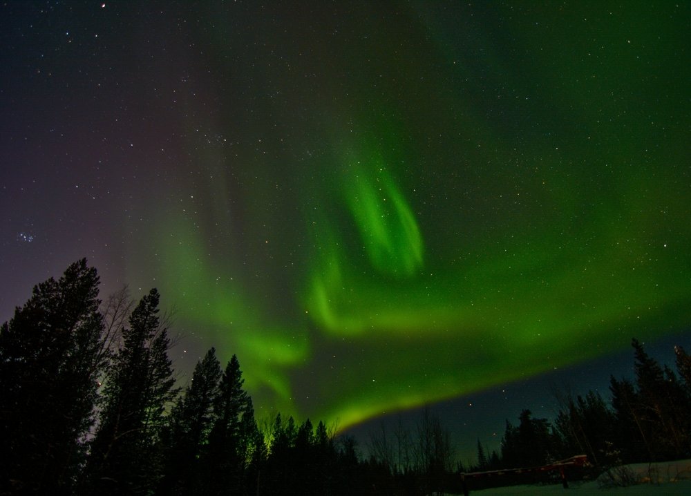 The Serpentine Aurora