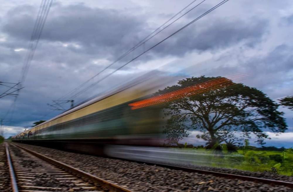 T H E     S P  E   E    D. .  .   .