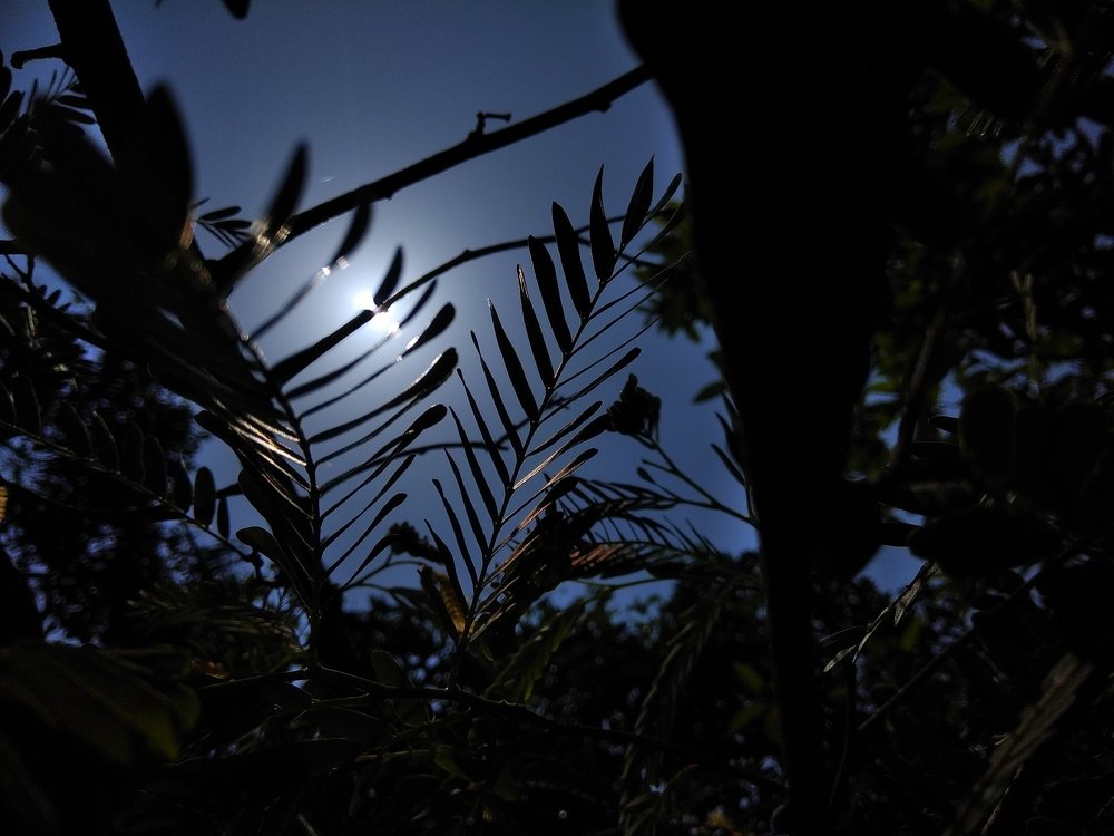 In a dark world under, sun is a moon