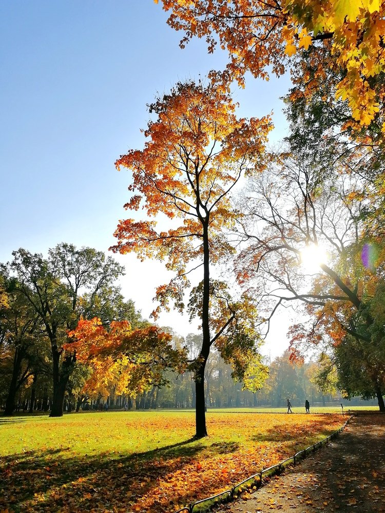Утро в Санкт-Петербурге