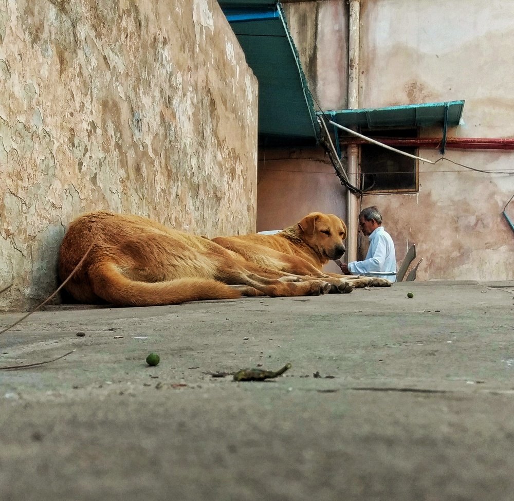 Photograph by Kajol Asnani