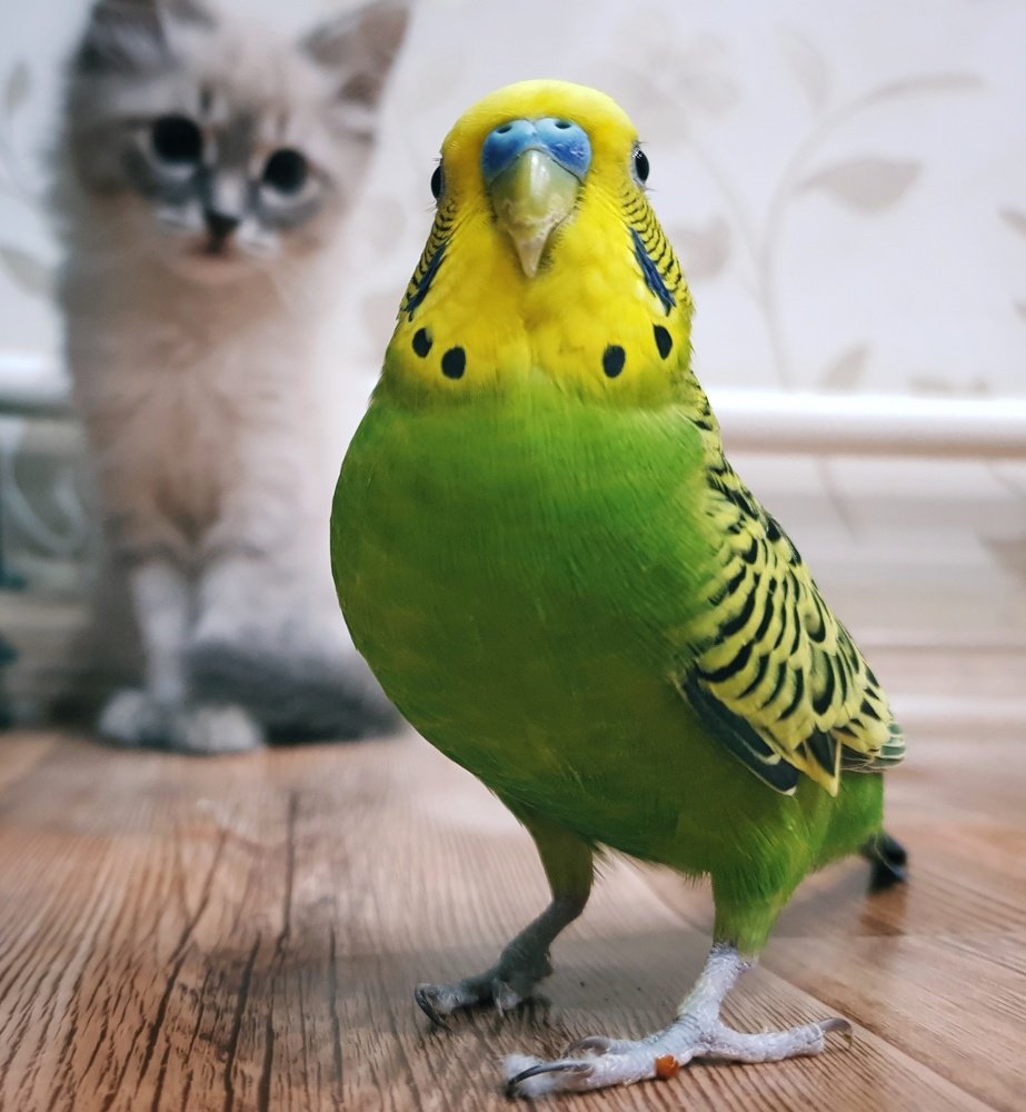 Photograph by Екатерина Хасенова