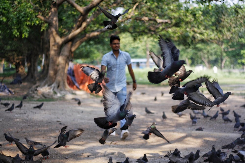 Photograph by Shreya Banerjee
