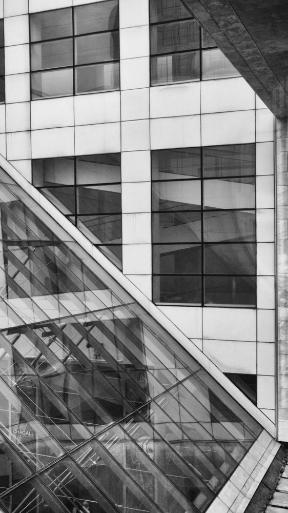 Geometry - Black and white photo of a glass roof and building windows