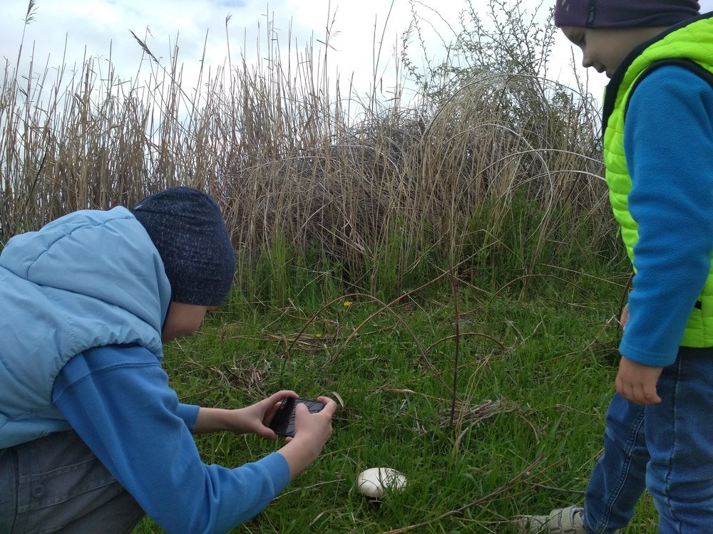 Весьма интересный экземпляр)