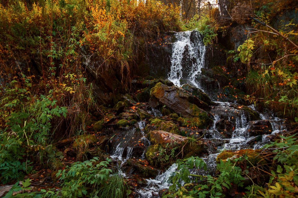 Красота осени