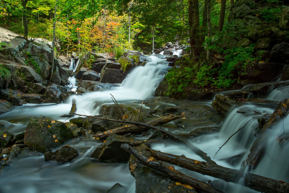 Waterfall in the forest