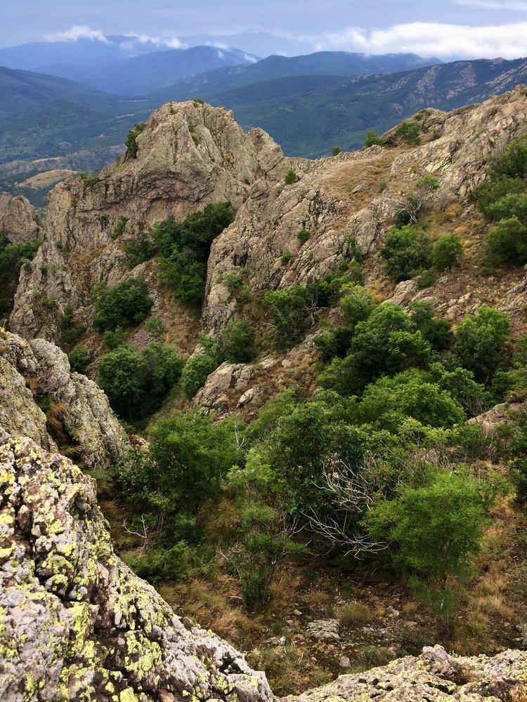 Photograph by Сергей Ладыгин