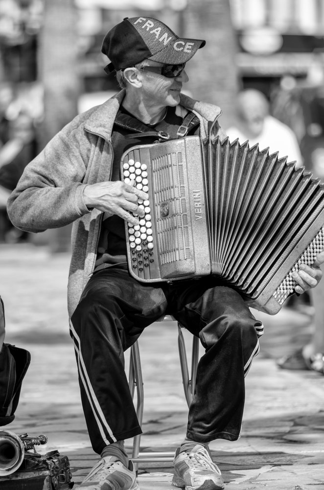 Accordionist  - French man playing the accordion
