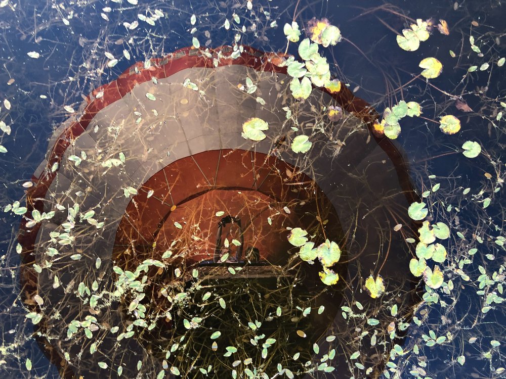 Photograph by Ксения Рыбка