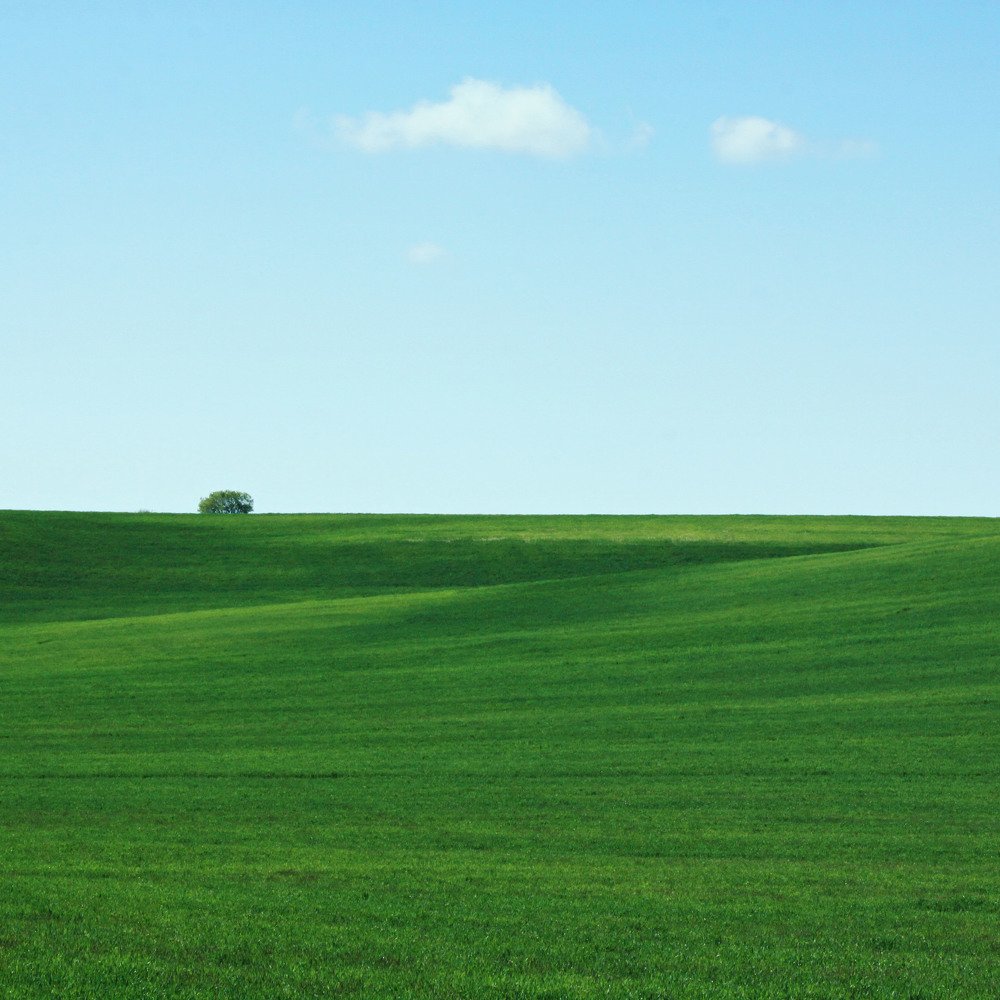 Photograph by Фаина Богун