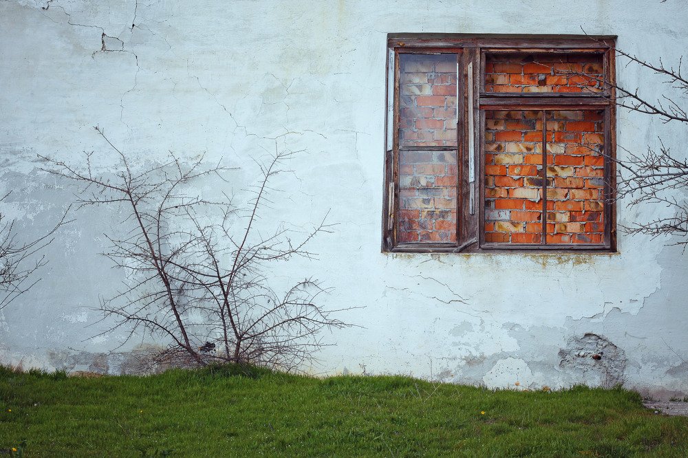 Photograph by Фаина Богун