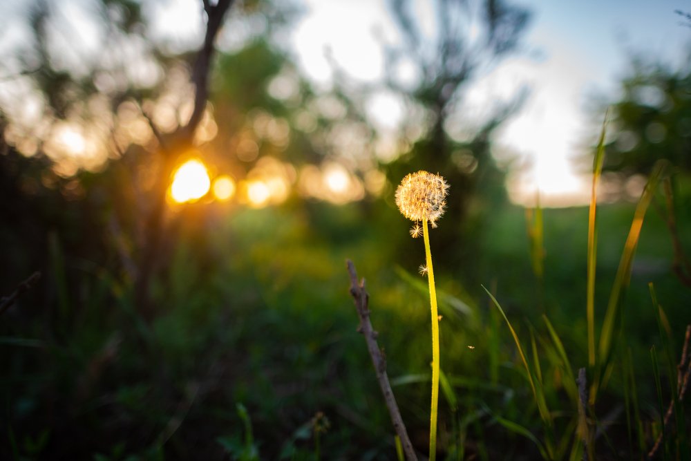 Photograph by Рустам Тулендеев