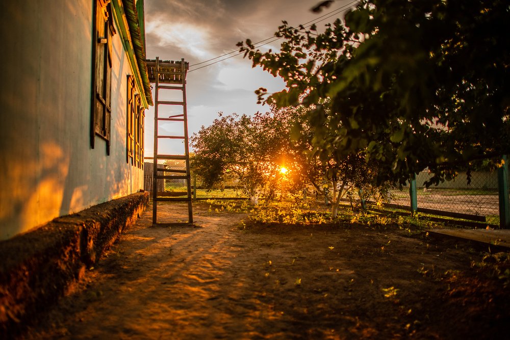 Photograph by Рустам Тулендеев