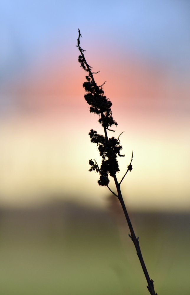 Beauty of the unity of nature / Красота единства природы