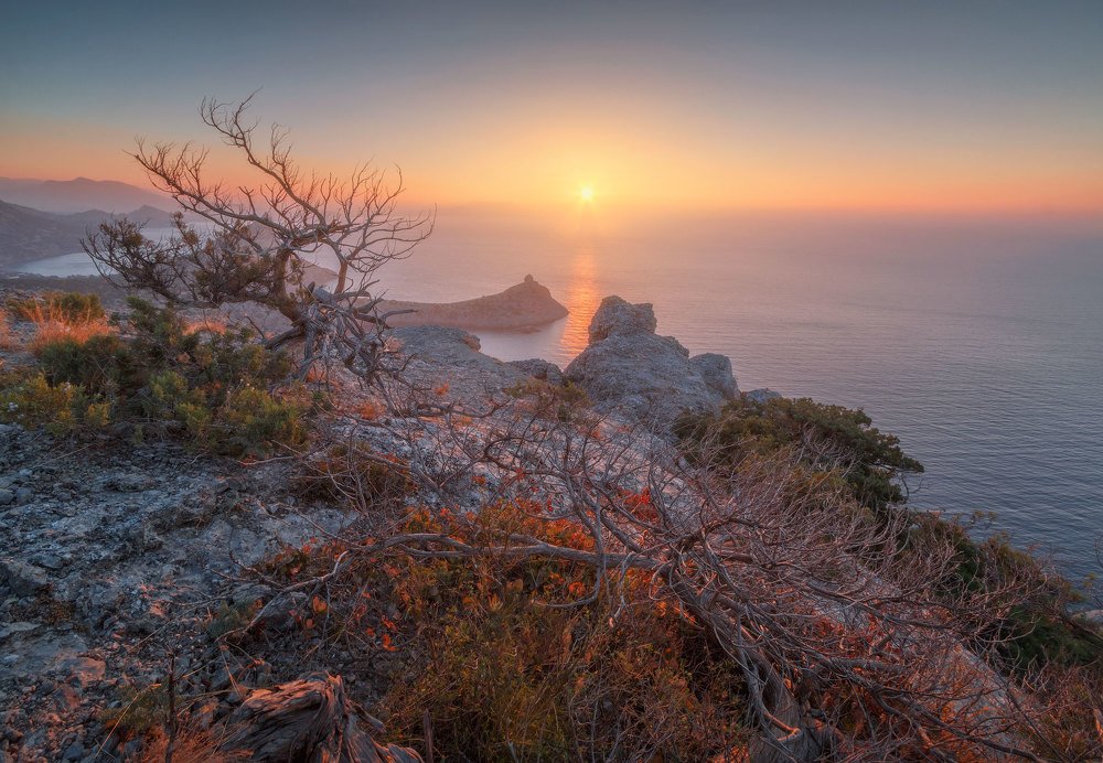 В Новом Свете