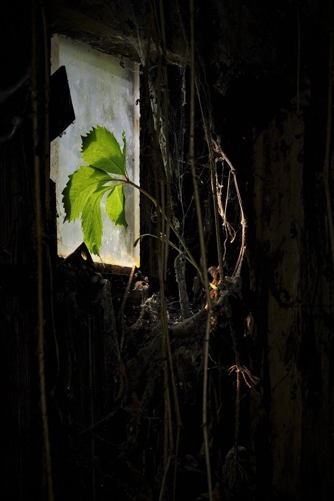 Затворник / prisoner