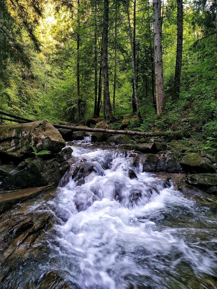 Photograph by Тарас Пехник