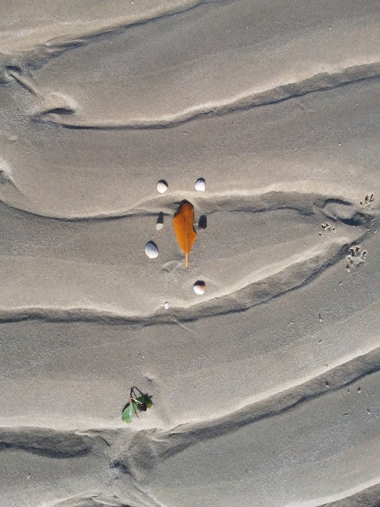 Footprints in the sand