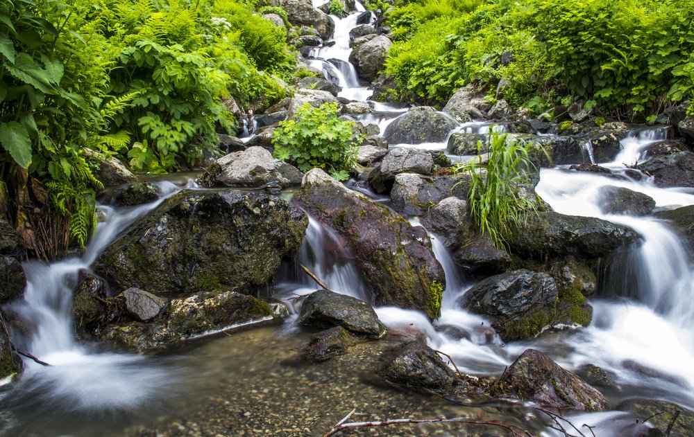 Красная Поляна