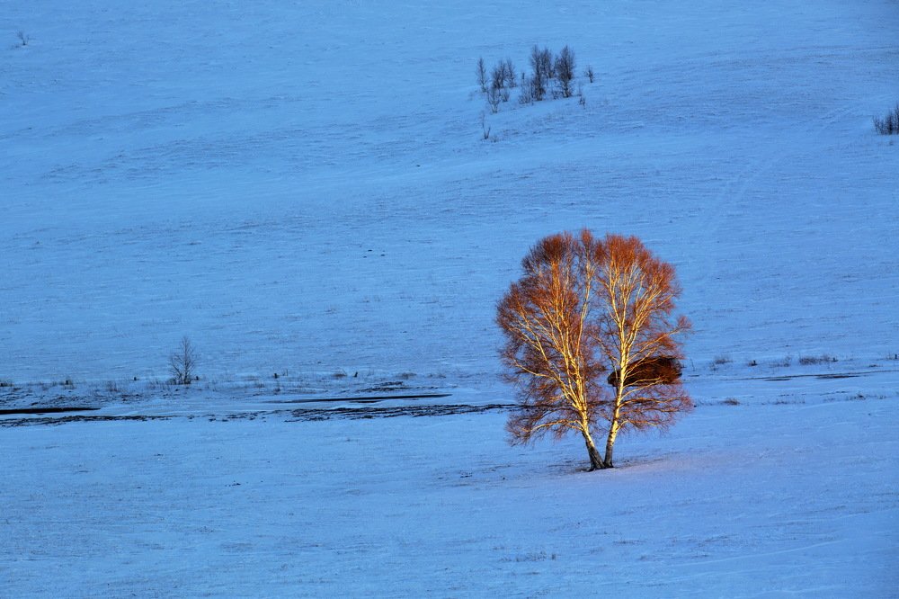 First light in the morning
